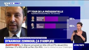 Sébastien Chenu (RN): "Éric Zemmour irradie parce que c'est un phénomène de nouveauté" 