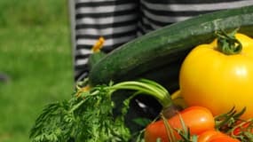 Déboussolés par les récents scandales révélés au sein de plusieurs abattoirs français, des fans de steaks se tournent vers les légumes. 