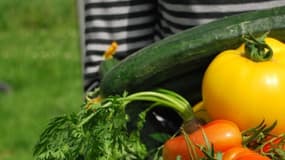 Déboussolés par les récents scandales révélés au sein de plusieurs abattoirs français, des fans de steaks se tournent vers les légumes. 