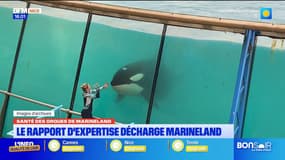 Marineland : une expertise conforte le parc
