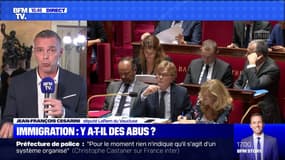 Immigration: y a-t-il des abus ? (4) - 07/10