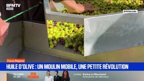 Focus Régions - 31/10