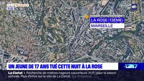 Marseille: un adolescent de 17 ans tué par balle dans le 13e arrondissement