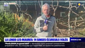 Vol de 14 singes à La Londe-les-Maures: le responsable du parc réagit
