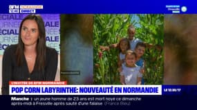 Normandie: deux labyrinthes dans les champs de maïs pour l'été