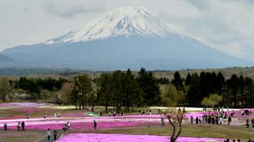 Au pied du mont Fuji, le 8 mai 2014.