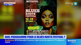 Meyreuil: la 6e édition du Blues Roots Festival prévue le deuxième week-end de septembre