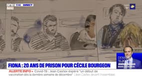 Affaire Fiona : 20 ans de prison pour Cécile Bourgeon
