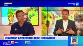 Bonjour Lille du mercredi 24 septembre 2025