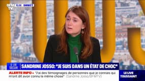 "Le champagne n'avait pas le même goût": Sandrine Josso, qui accuse Joël Guerriau de l’avoir droguée, témoigne