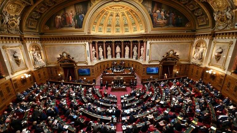 Le Sénat, le 2 avril 2024 (photo d'illustration).