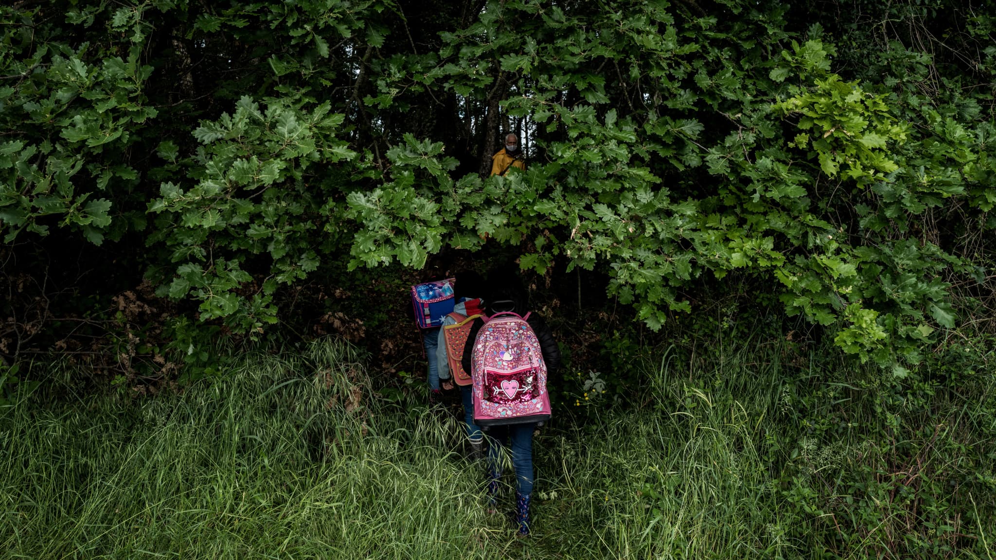 Des enfants vont participer à un cours dans la forêt à Upie (Drôme), pour protester contre la non-réouverture d'une école, le 12 mai 2020.