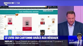 Un livre datant de 2014 devient numéro 1 des ventes sur Amazon grâce aux réseaux sociaux