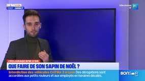 L'éclairage BFM Lyon: que faire de son sapin de Noël?