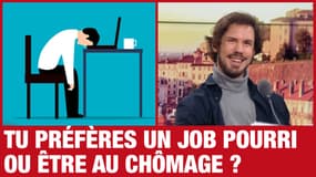 C'est tous les jours Demanche - Le drôle de choix pour les électeurs du PS