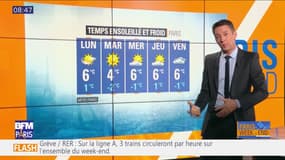 Météo Paris-Ile de France du 18 janvier: Une journée lumineuses mais des températures en chute