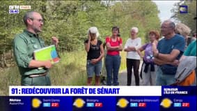 Essonne: à la découverte de la forêt de Sénart