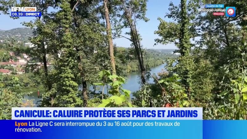 Canicule : la ville de Caluire s’adapte pour protéger ses parcs et jardins