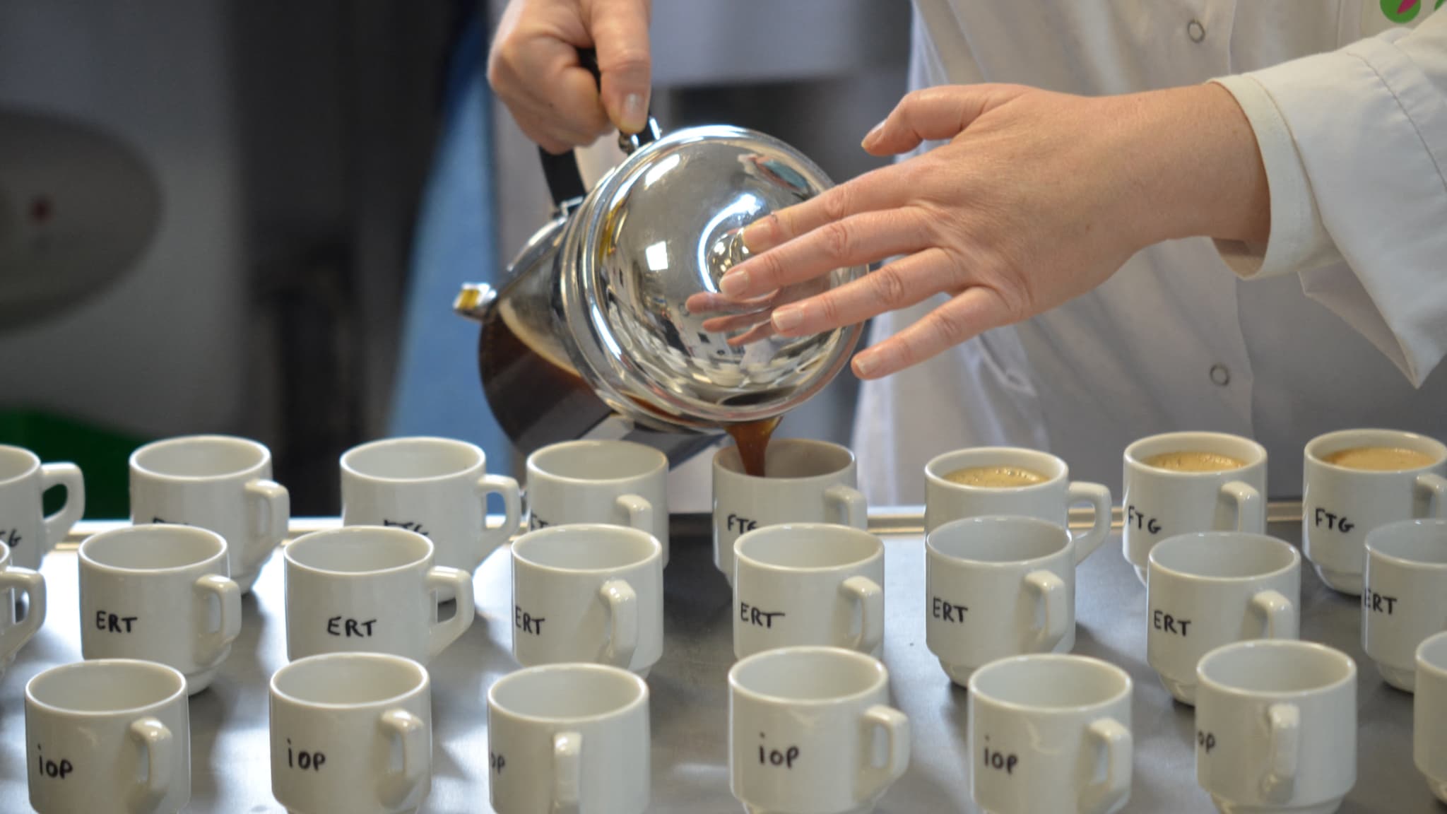 Le Cirad a organisé des tests à l'aveugle pour tester de nouvelles variétés de café