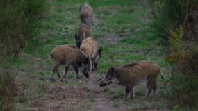  (photo d'illustration)