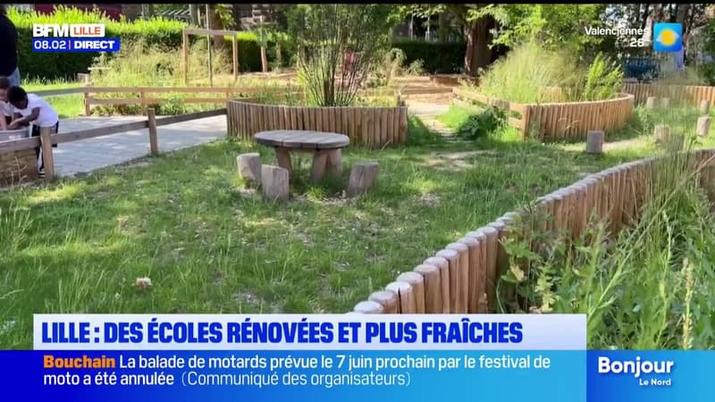 Comment lutter contre la chaleur dans les écoles ?
