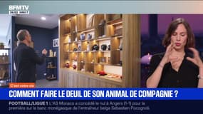 SIGNÉ BFM: comment faire le deuil de son animal de compagnie?
