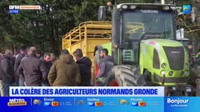 Normandie: les agriculteurs à nouveau mobilisés