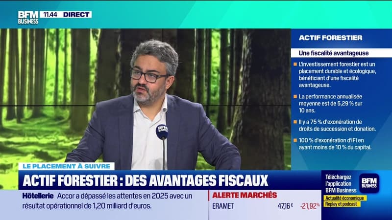 Le placement à suivre : Diversification, investir dans les forêts - 19/02