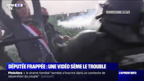 Députée frappée lors de la manifestation de Sainte-Soline: une vidéo sème le trouble