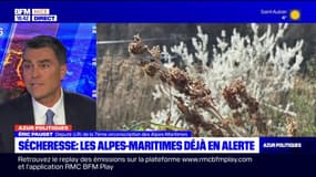 Sécheresse: les Alpes-Maritimes déjà en alerte