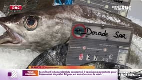 Après le Brexit, la crise Ukrainienne fait s'envoler les prix de poissons