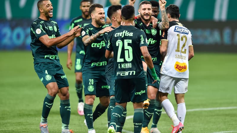 Palmeiras