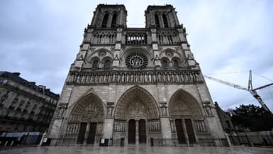 La cathédrale Notre-Dame de Paris, le 8 décembre 2024