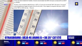 Strasbourg: 45 jour de suite à plus de 25°C cet été