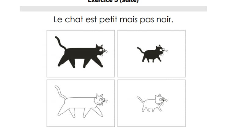 Un exercice de l'évaluation des élèves de CE1, pour la rentrée 2019.