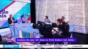 Thierry Moreau : "On est chez les fous. Apporter cette complication dans la langue française est une mauvaise chose"