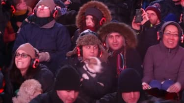 Des spectateurs tiennent leur chien lors d'un concert pour chiens à Times Square à New York le 4 janvier 2016
