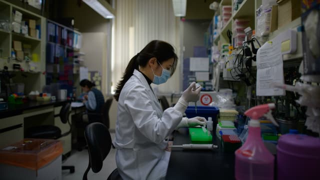 Un vaccin expérimental chinois efficace sur des singes