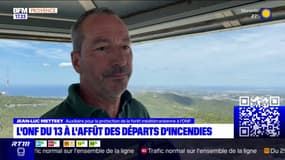 Bouches-du-Rhône: face aux risques de feux de forêt, l'ONF sur le pont 