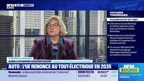 "Certains investisseurs se rebiffent contre les reculs ESG" - 17/12