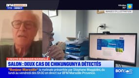 Salon-de-Provence: deux cas de chikungunya détectés