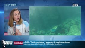 Pourquoi la Terre va-t-elle devenir encore plus bleue... vue de l'espace?