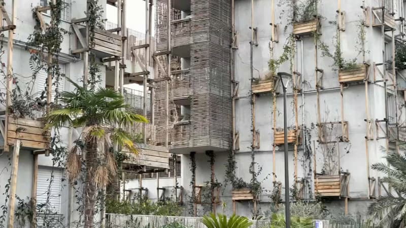 Infrastructures usées et verdure cachée: trois ans après, la déception dans le quartier du Ray à Nice