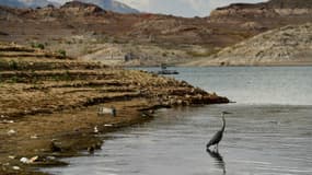  A cause de la sécheresse, de faibles niveaux d'eau sont enregistrés au lac Mead alimenté par le fleuve Colorado.