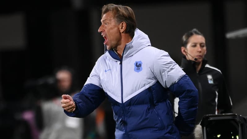 Hervé Renard
