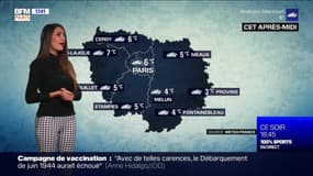 Météo Paris-Ile de France du 11 janvier: Un temps maussade