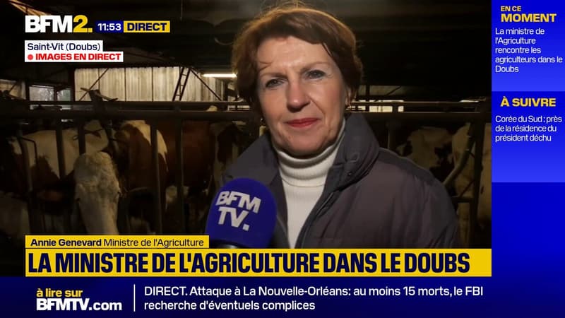 Annie Genevard, ministre de l'Agriculture, s'exprime sur les aides pour les agriculteurs