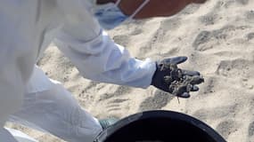 Des boulettes d'hydrocarbure ramassées sur une plage de Solaro, en Haute-Corse, le 14 juin 2021