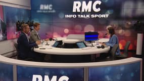 Pascal Canfin, directeur général du WWF France: "Si on poursuit cette tendance, avant 2050, on aura perdu la totalité des animaux sauvages !"