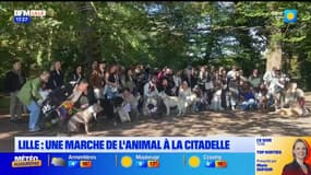 Lille: une marche de l'animal organisée à La Citadelle